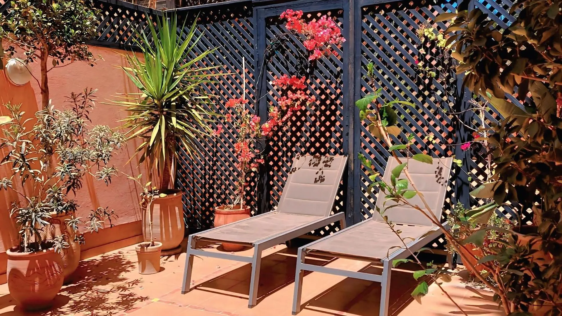 Appartement Au Coeur De Gueliz Marrakesh